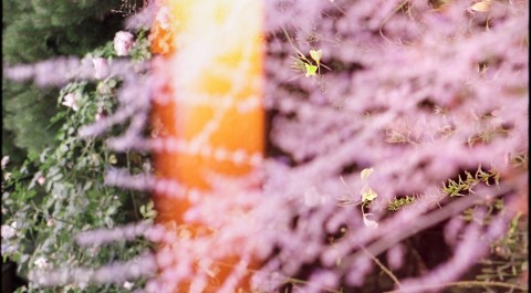 Hanuš a Zlata Lamrovi: Jsme v zahradě